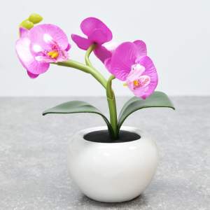 Купить Светильник "Орхидея" в керамическом горшке 12*12*19см