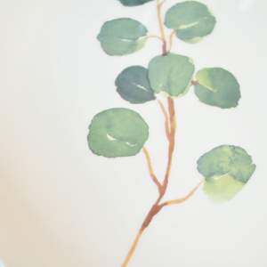 «Тарелка обеденная 27см Эвкалипт» - фото 1